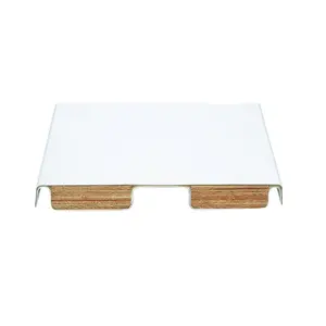 SR Smith 6' Fibre-Dive Diving Board