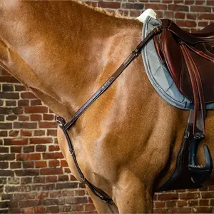 Dyon Fancy Breastplate - D Collection