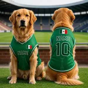 Mexico Dog Soccer Jersey, Mexican Flag Pet Shirt, Green Football Puppy Outfit, Custom Dog Sports Fan Apparel