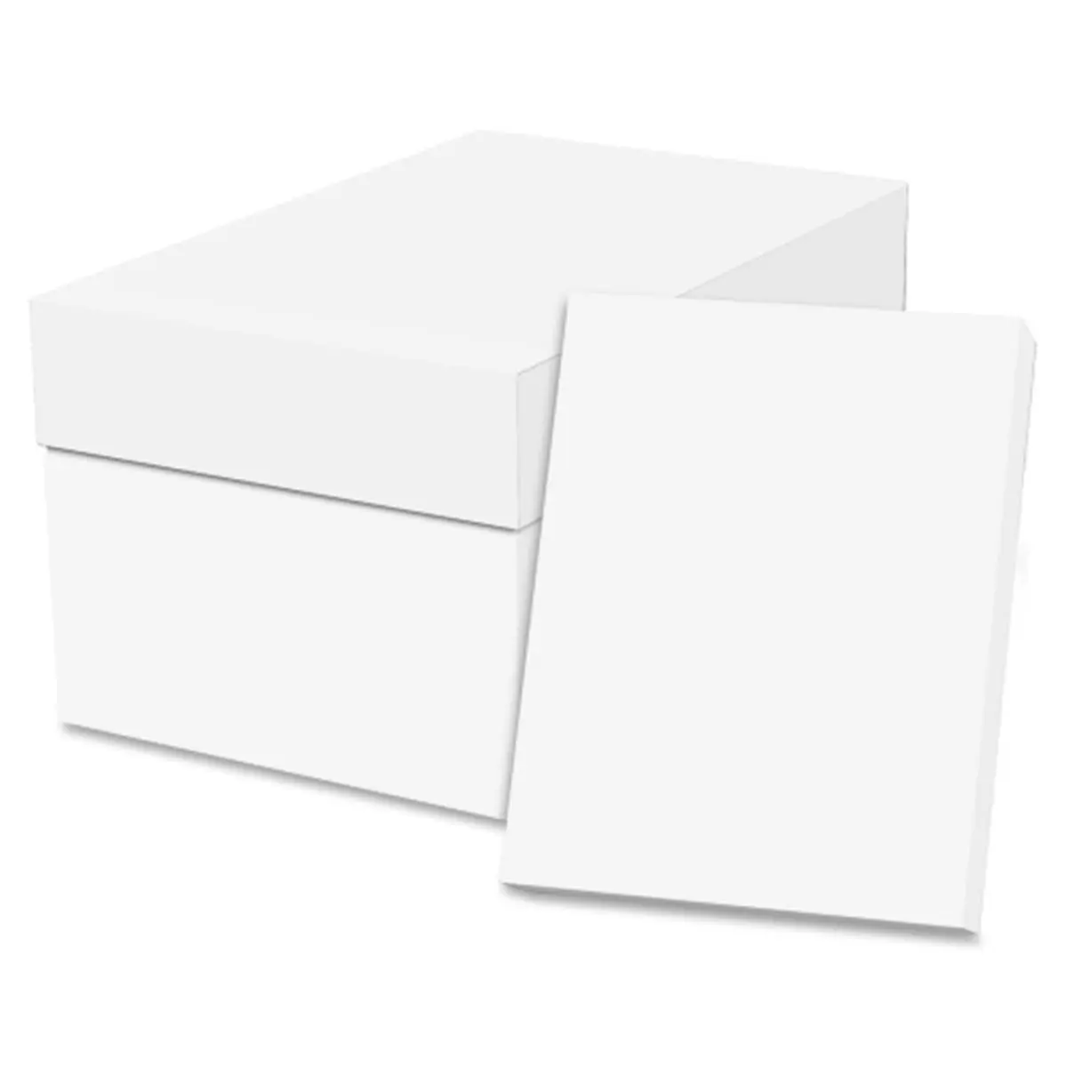 PRIVATE BRAND SPZEC851192 Office Copy Paper - 8.5 in. x 11 in. - 10RM/CT - White - 20 lb - Acid-Free - 0 Sheet Waste - Compatible with Laser Printers & Copying Devices, High-Speed Copiers