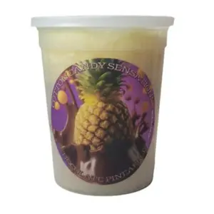 Chocolate Pineapple Gourmet Cotton Candy - Cotton Candy Sensations 200+ Flavors