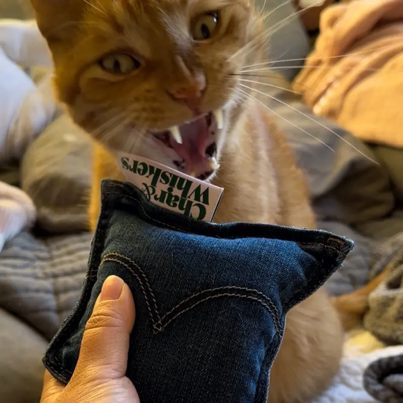 Denim Jean Pocket Catnip Toy for Cats - Handmade and Upcycled