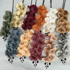 41in, 9-Head Neutral Colored Long Stem Orchid Flowers