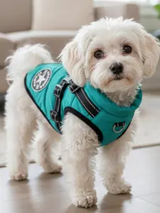 NO Choice NO Aliexpress Packing Send in 24 Hours Pet Harness Vest Clothes Puppy