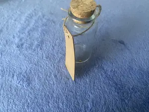 Faith mustard seed & Jar