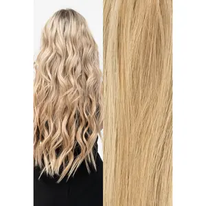 Clip-In Dimensional #18/22 - Hair Extensions