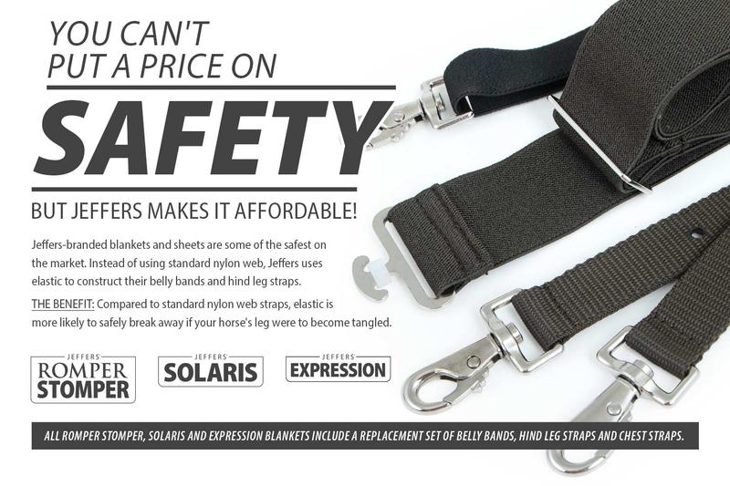 Jeffers Expression 1200 Denier Standard Neck Horse Turnout Sheet, 0 Gram Equine Blanket Jeffers Expression 1200 Denier Standard Neck Horse Turnout Sheet, 0 Gram Equine Blanket