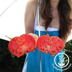 Tomato Seeds - Slicing - Dutchman