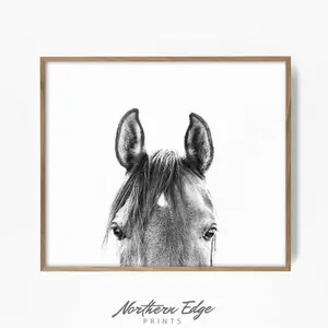 peekaboo horse, bw horse print, horse photo, equestrian print, equestrian photo, equestrian decor, western decor, southwest decor, bw print 6