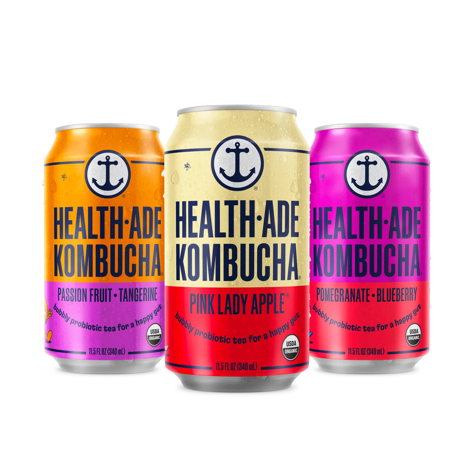 Fruity Favorites Kombucha Variety Pack in Cans