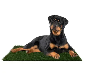 Petmaker Set of 3 Reusable Pee Pad Replacements 41x27