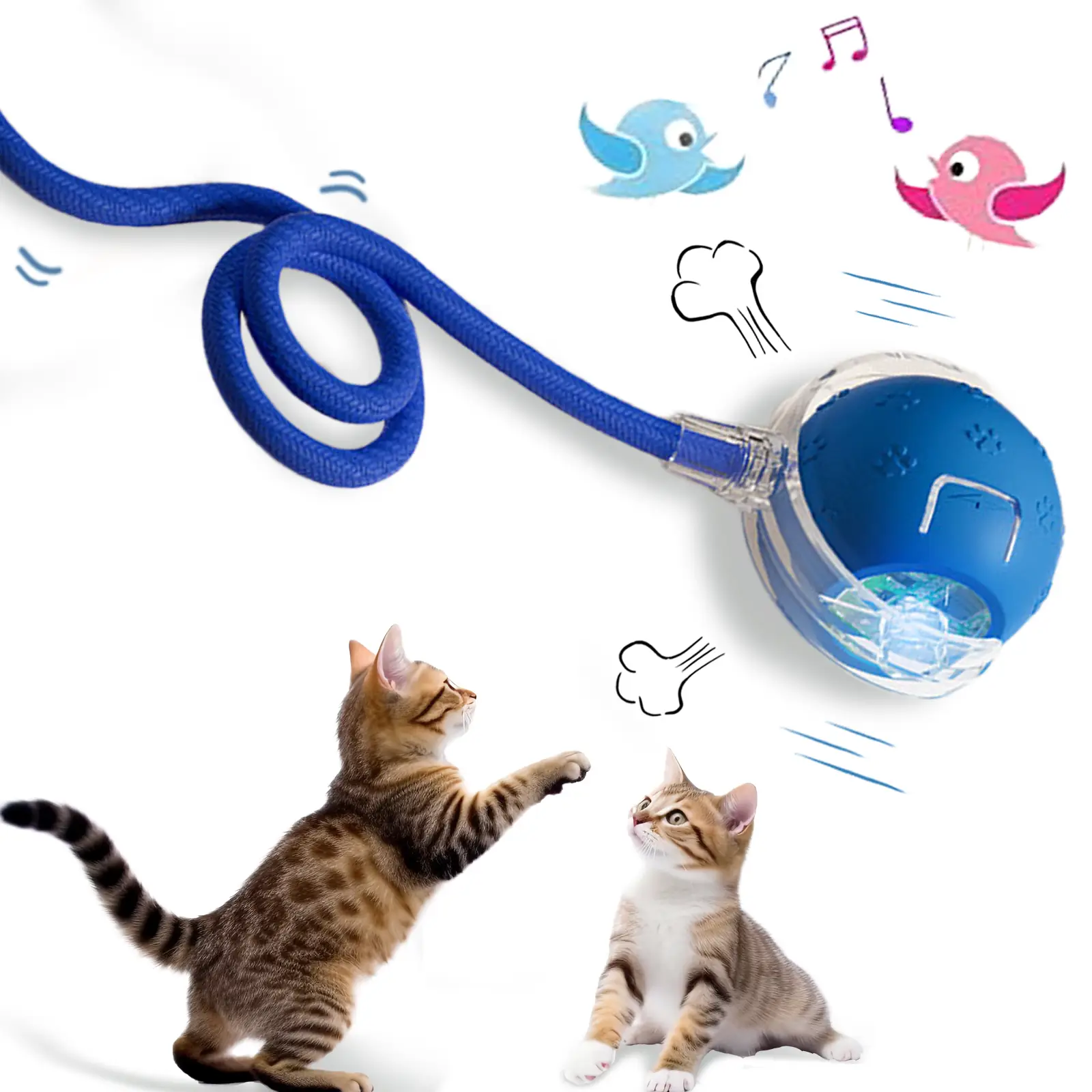 Bird song automatic rolling ball, electric rope cat ball toy, interactive cat teasing toy, pet chasing toy, cat toy, pet supplies, dog and cat accesso