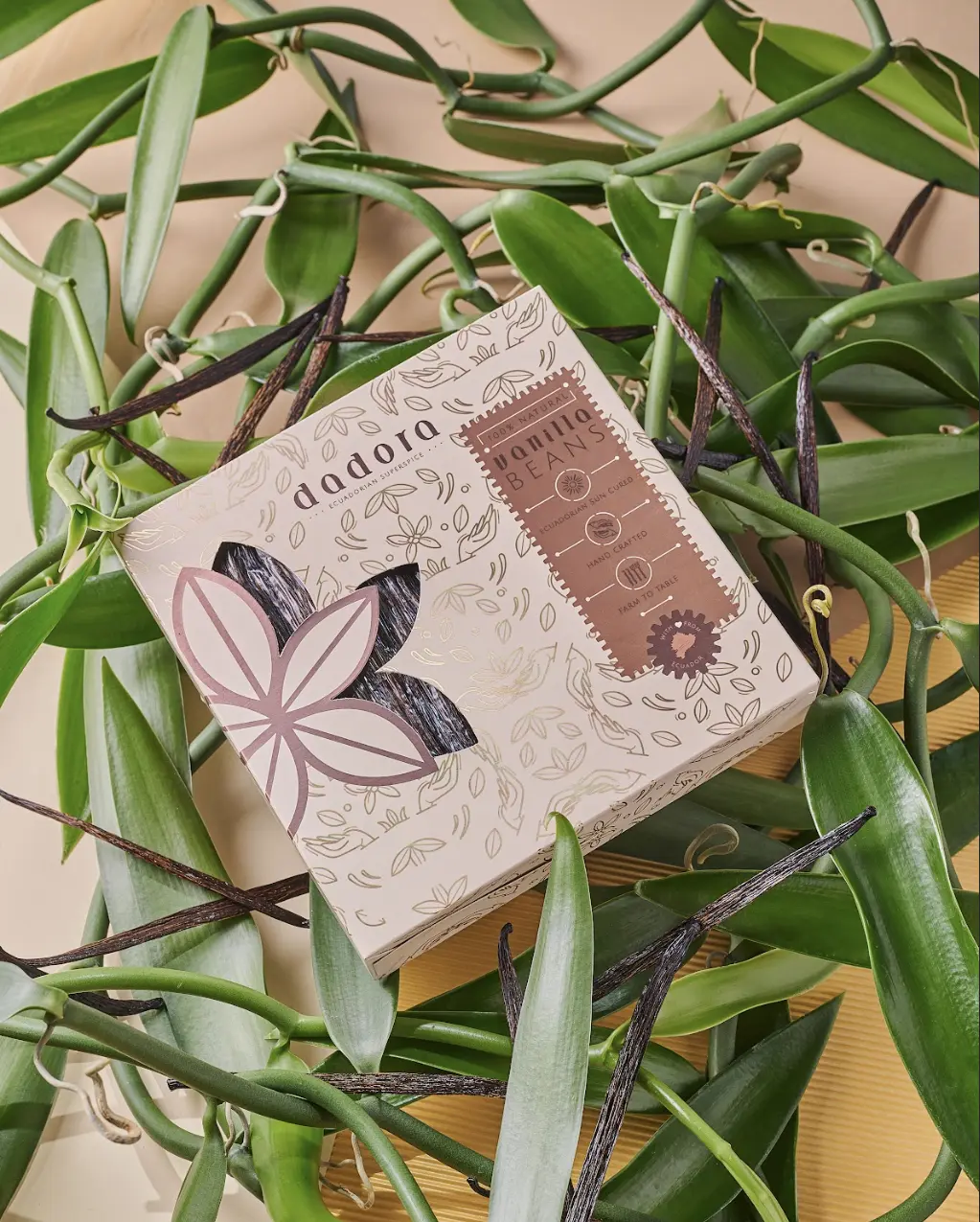 Gourmet Tahitian Vanilla Beans - Ideal for Every Culinary Creation