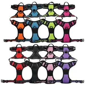 Nylon Dog Harness & Leash Set for Large Breeds - Durable Nylon Material, Multiple Colors Available for Comfort and Style, Ideal for Walks