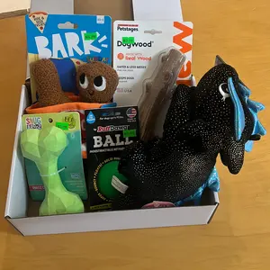 Dog Mystery Box - Toys