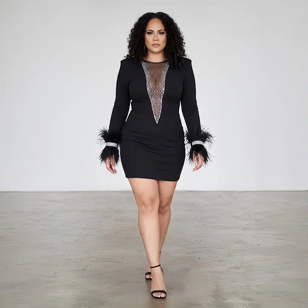 Black Feathered Dress with Long Sleeves and Elegant Design $34.99