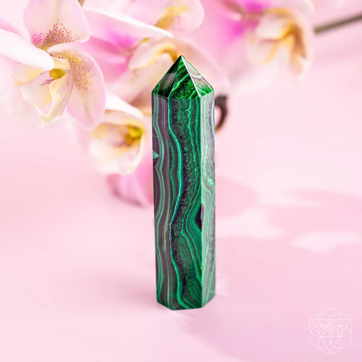 This Changes Everything – Malachite Phoenix Point