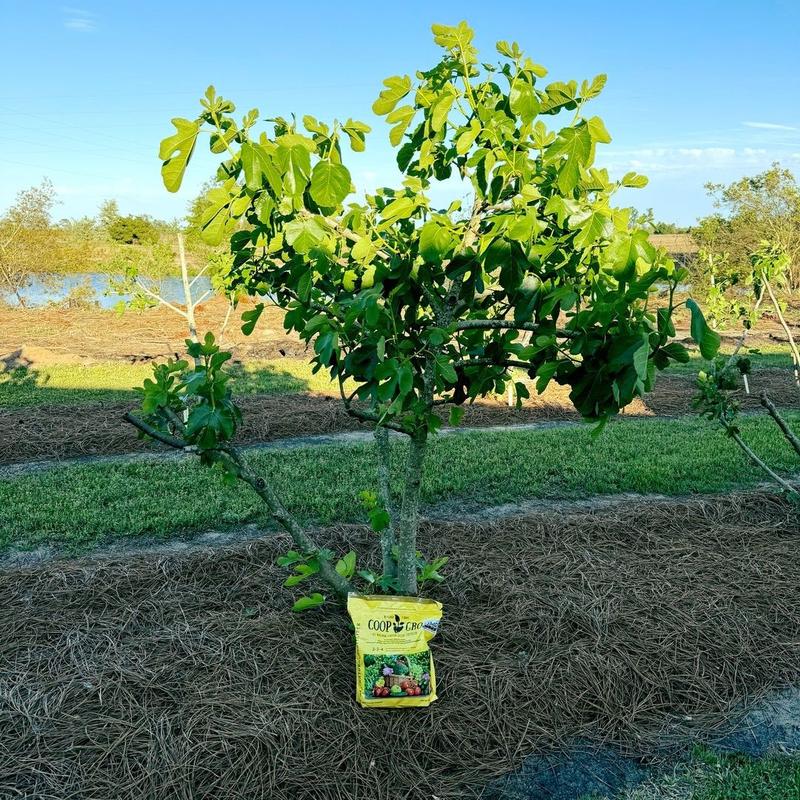 Coop Gro OMRI-Certified Organic, Pelletized Chicken Litter Fertilizer 25 lbs - For Healthy Lawns and Gardens