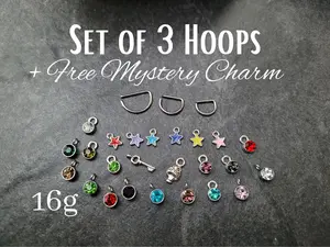 3 Pack 16g D-Shaped Hoop Septum Cartilage Helix Rook Conch Daith Tragus Silver Earring cartilage piercing ear 8mm 10mm 12mm jewelry star key