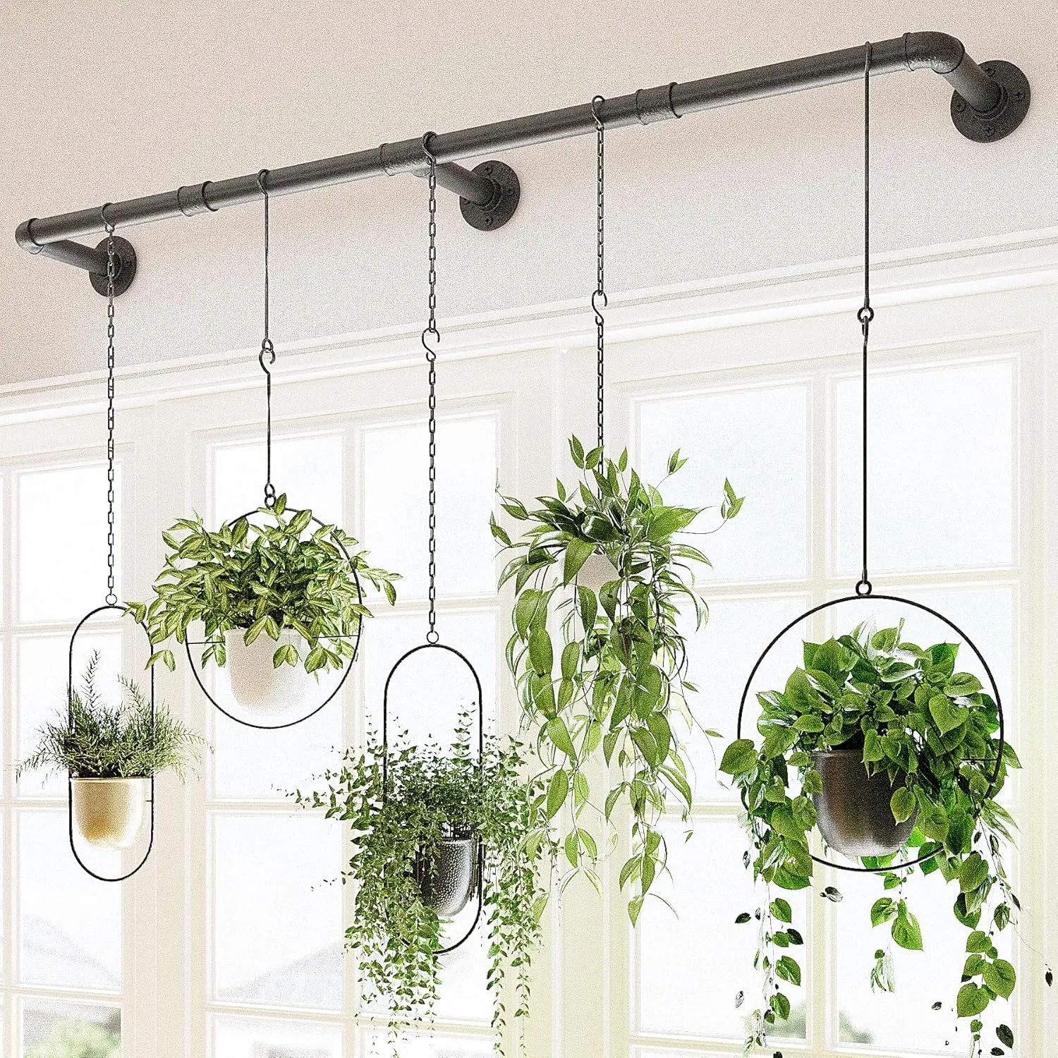 Window Plant Hanger Indoor 63in Hanging Planters for Indoor Plants Hanging  Plants Holder Hanging Rod Window Plant Shelves Wall Planters Pot/Chain/Plant  Not Included(Black) - TikTok Shop