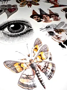 The Three Dunces Chonky Bites Crafting Kit Craft Kits