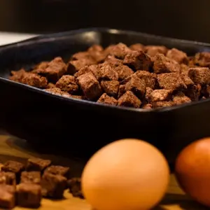 Fido Fuels Freeze-Dried Raw Beef & Ground Bone Blend Dog Food