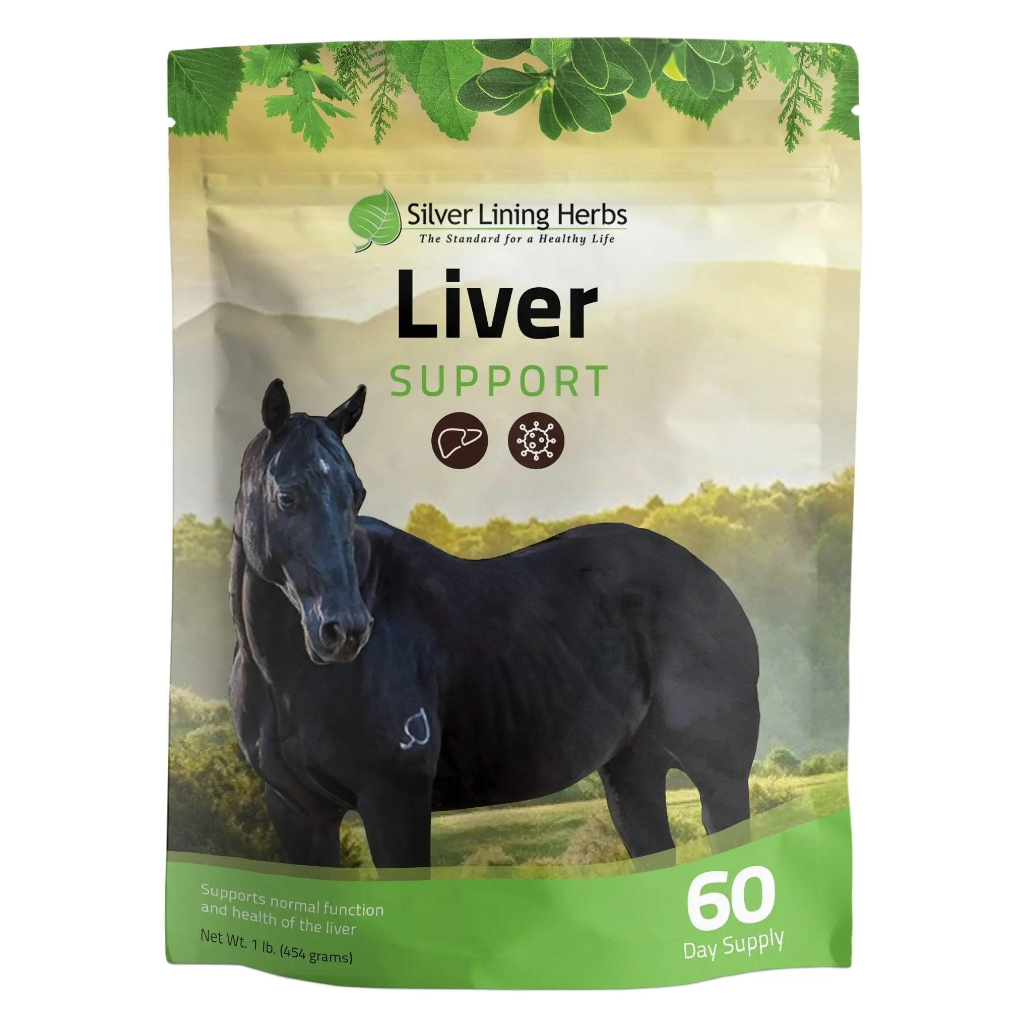Liver Support Liver Support