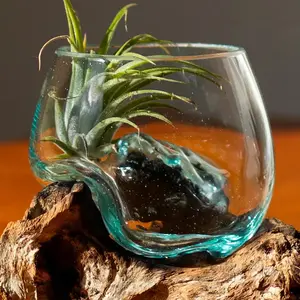 3" Open Mouth Molten Glass Terrarium, Glazed Flower Pot for Aquatic Pets' Aquariums & Tanks, Glazed Flower Pots