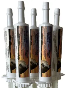 Provision Probiotics Equine Gel {5 Pak} 30 ml Tubes, 6 Servings each – Probiotic Paste with Live Microorganisms for Digestive Health, Gut Balance & Immune Support for Horses
