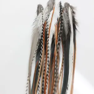 Feather Hair Extension – Natural Beige & Brown Loose Feathers (25) 8–12 Inches, Includes 10 Silicone Micro Beads