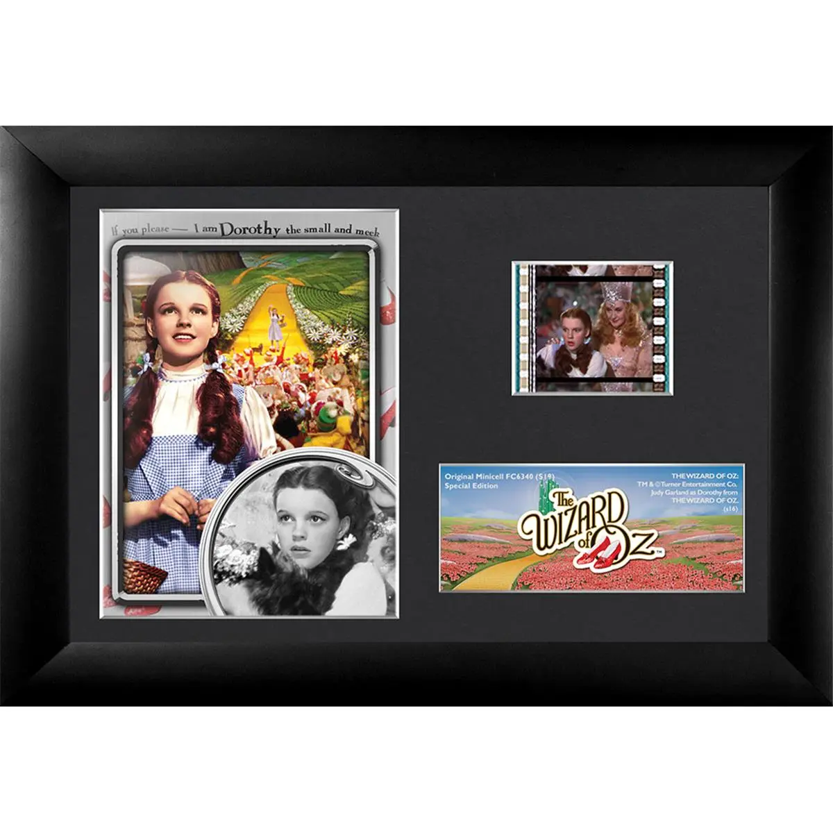 212 MAIN Wizard of Oz S19 Minicell Wall Art - 7"x5" Limited Edition Decorative Film Print with Real Film Cell, Wall-Mounted Decoration for Baby Room, Artistic Stickers with Elegant Look, Limited Ed., 7X5 In, Numbered Limited Edition Name Plaque