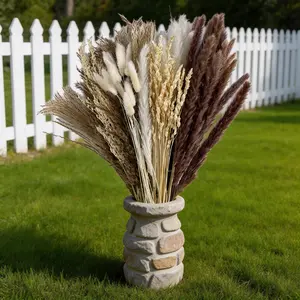 Dried Pampas Grass: Great for Photo Backdrops