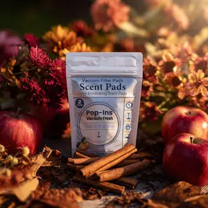 Apple and Spice Vacuum Scent Pads