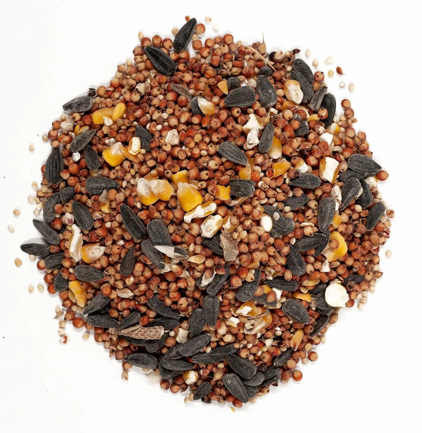 bird food