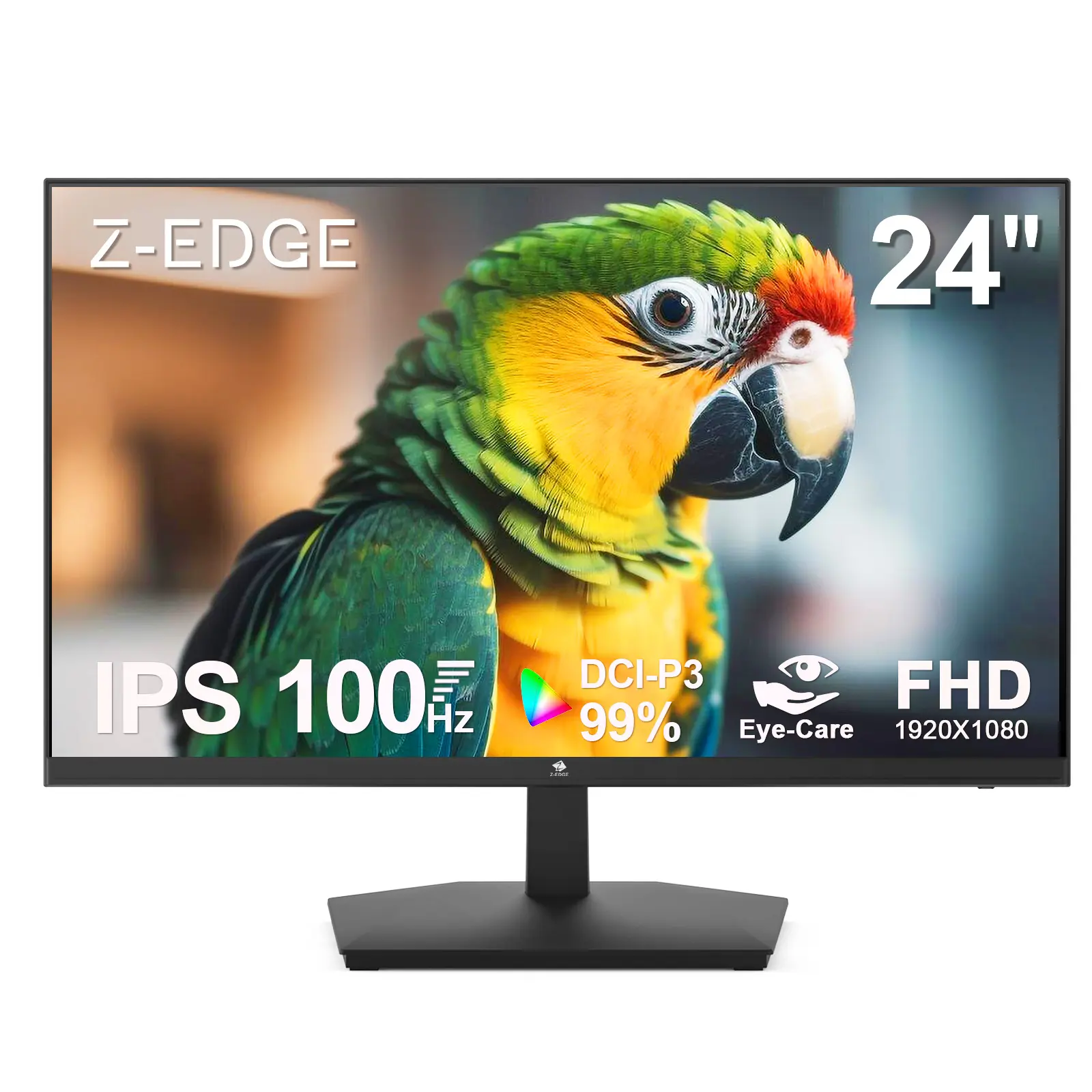Z-EDGE 24-inch Fast IPS Gaming Monitor, 100Hz FHD 1920x1080 Frameless Computer Monitor, 99% DCI-P3, Eye-Care, with HDMI & VGA Ports, Fast Ips Monitor