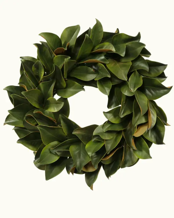 Magnolia Wreath 24"