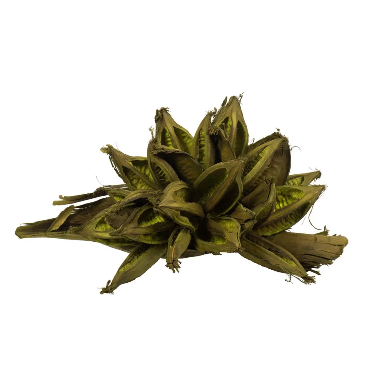 212 MAIN 2XL Basil Star Pods, 12-16 in Star-Shape Christmas Decorations, Ornament Christmas Decor, Holiday Home Festive Supplies