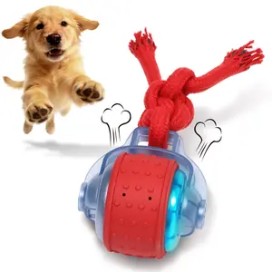 Waaiio Rechargeable Interactive Dog Toy Ball, Automatic High-Speed Self-Rolling Ball, Smart Moving Pet Toy for Puppies Indoor Outdoor Entertainment