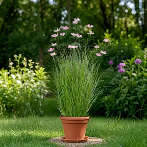 12 Pcs Lifelike Artificial Galsang Flowers, Low-Maintenance Faux Plants for Home Decor, Wedding Centerpieces, Spring Summer Celebrations