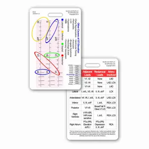 12 Lead STEMI Tool w/ Corresponding Vessels Chart Badge Card