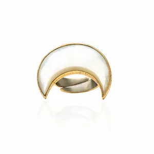 The PURNAMA Ring