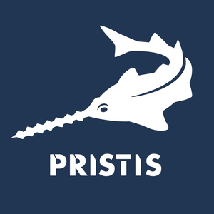 Pristis