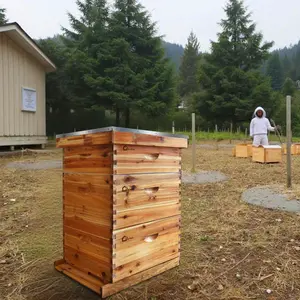 10-Frame Bee Hive Starter Kit,100% Beeswax Coated, 2 Deep Brood Boxes & 1 Medium Super Box, Windowless Design, Complete Beekeeping Starter Kit with Frames & Waxed Foundations