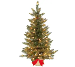 3' Pre Lit Slim Franklin Fir Christmas Tree with Realistic Pine Branches