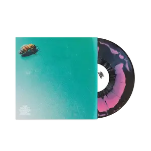 Sweet Shivers Vinyl - The Rocket Summer - Opaque pink & black swirl