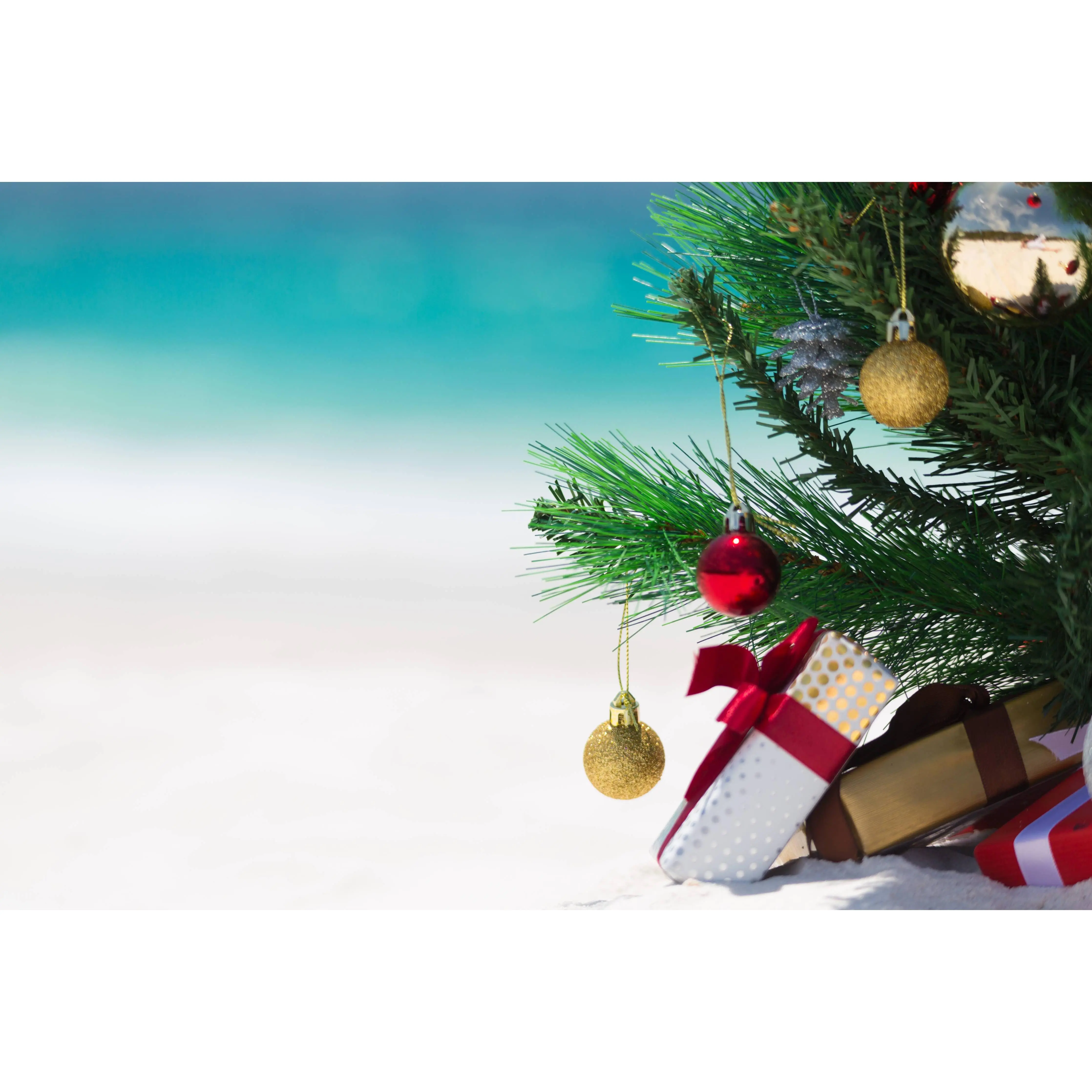 Coconut Shell Candle - Beach Holiday
