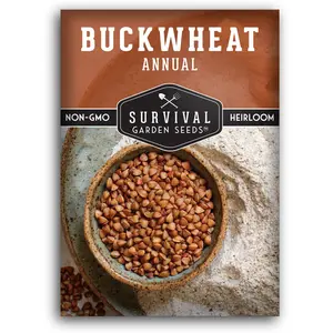 Buckwheat Seed - High-Quality Organic Plant Seeds