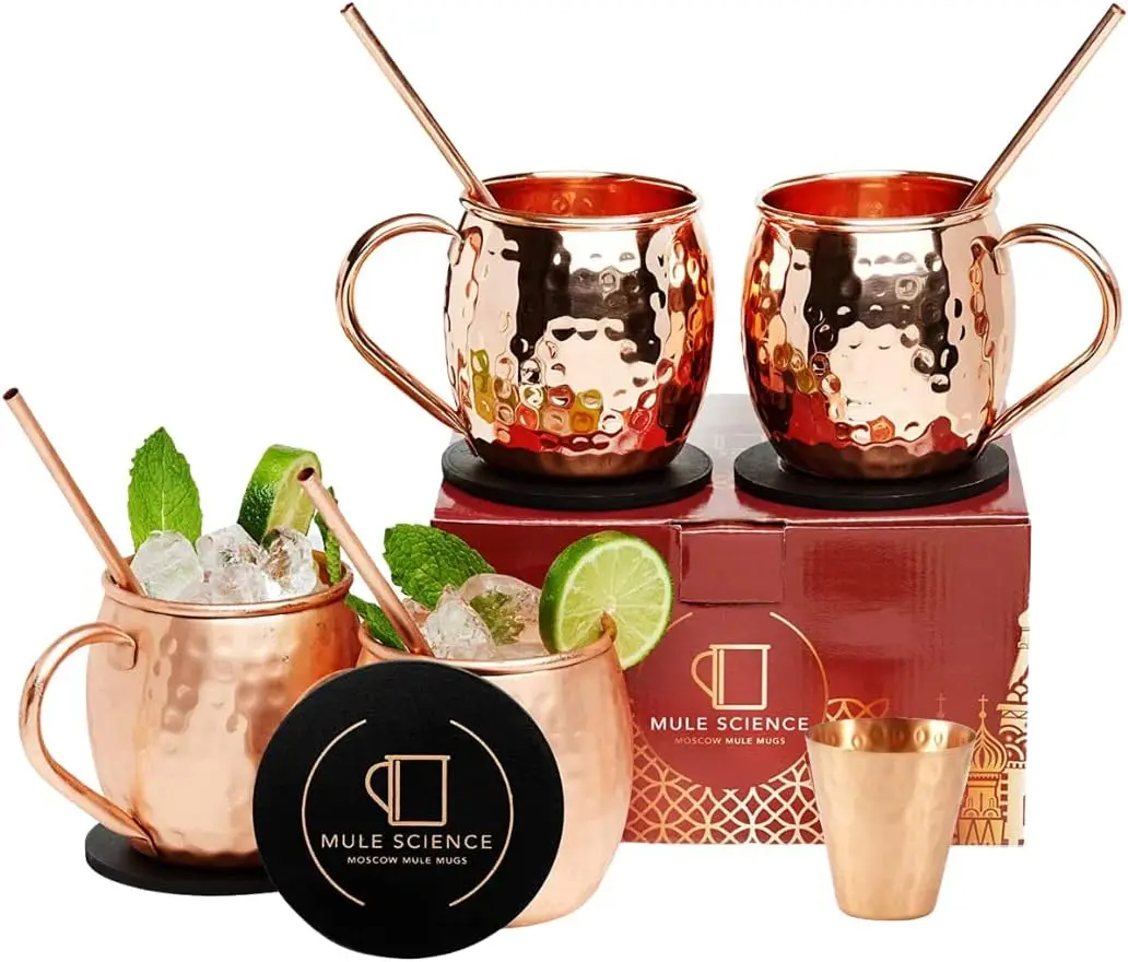 Advanced Mixology Gift Set 100% Pure Copper Moscow Mule Mugs With Accessories Set of 4(19 oz) Drinkware Glass