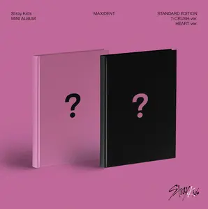 STRAY KIDS - MAXIDENT