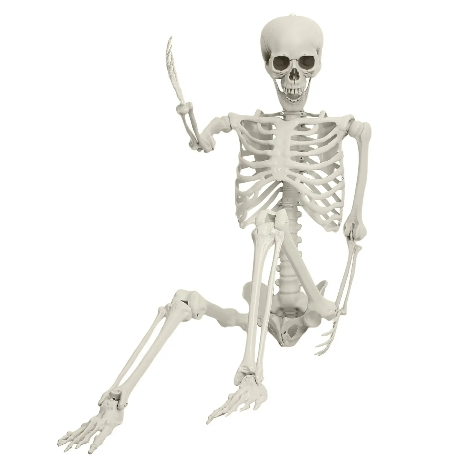 1 x Simulation Movable Adjustable Durable Plastic Decor Human Skeleton Prop, 5.4FT (165cm), Halloween Holiday Party Decoration, Home Ornament Festive Supply